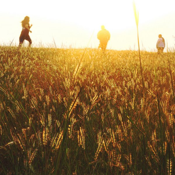 8205640039_9dcdbc7066_z